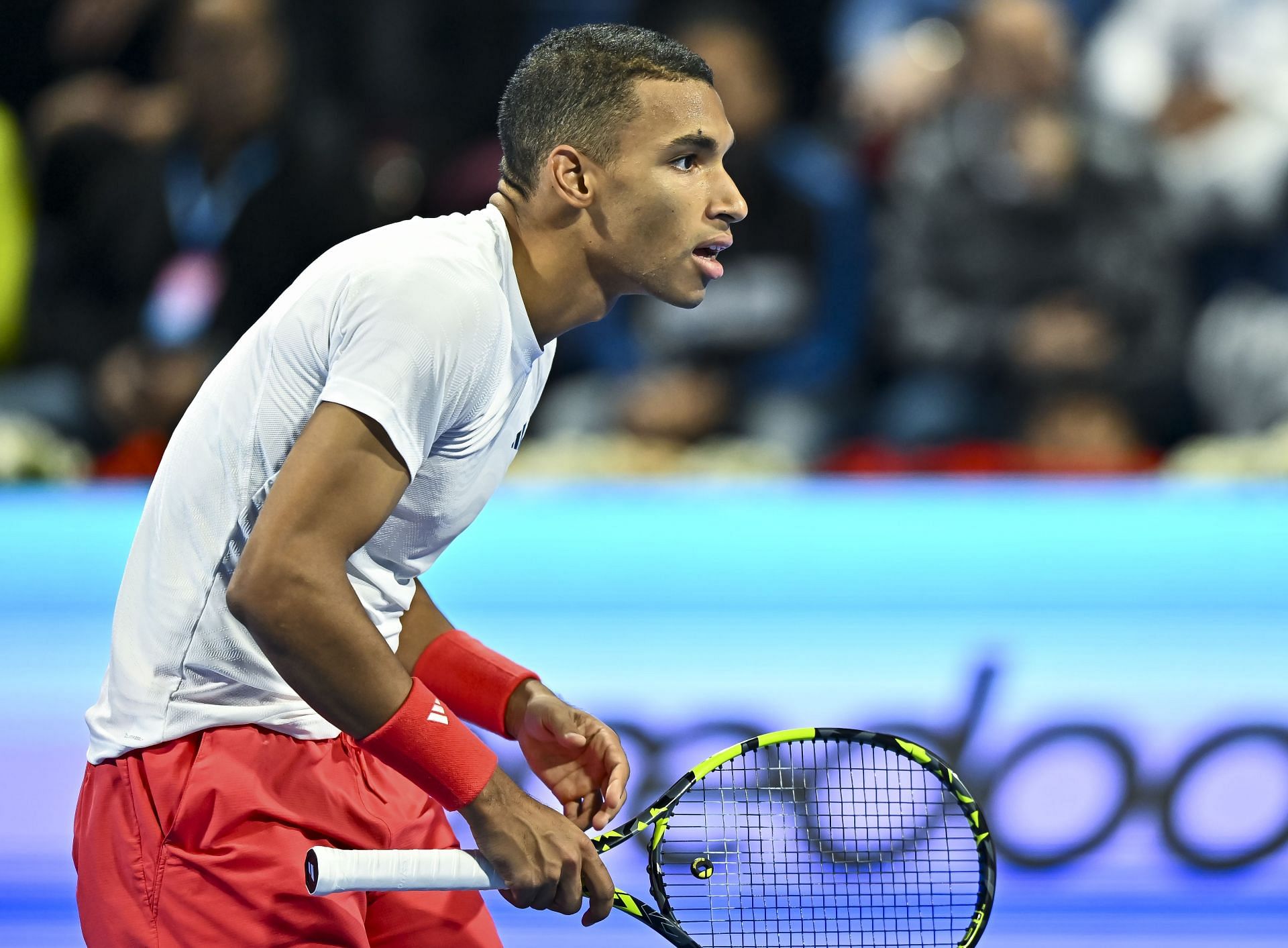 Auger-Aliassime has enjoyed good results on ATP Tour in 2025 (Source: Getty)