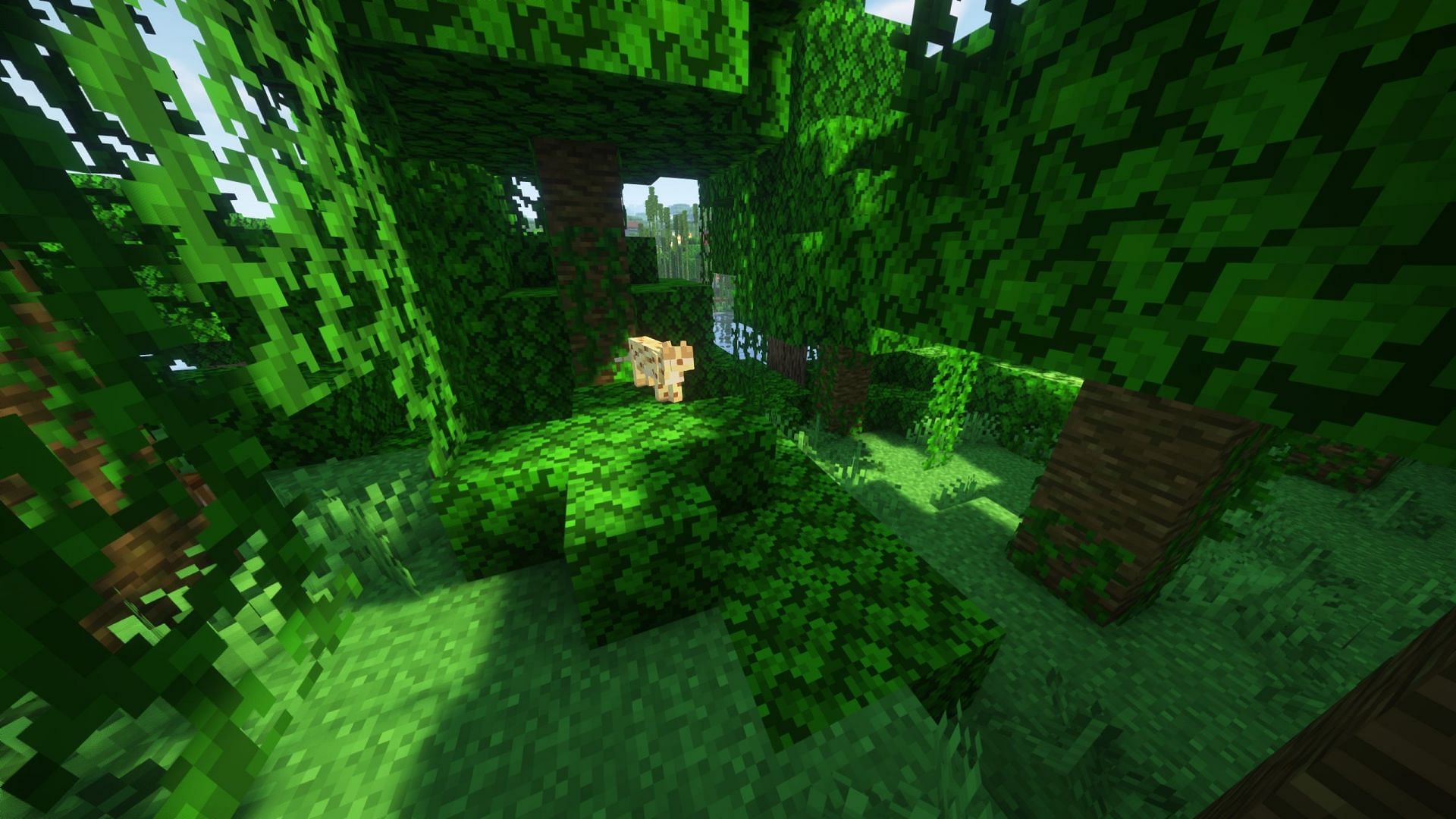 Ocelots spawn in all kinds of jungle biomes (Image via Sportskeeda Gaming/Mojang Studios)