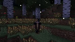The good and bad of Firefly Bush in Minecraft
