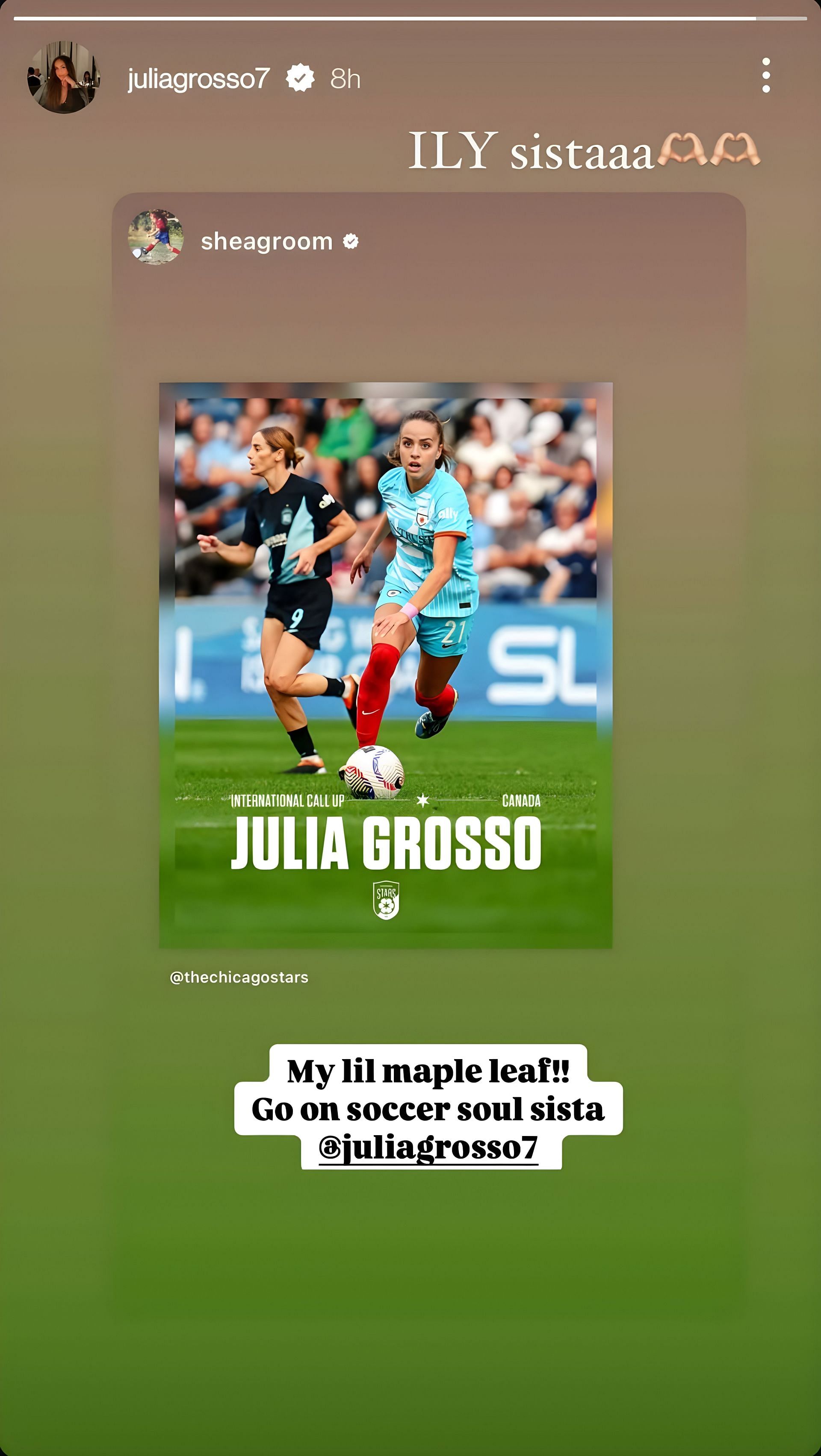 Julia Grosso IG Story Comment