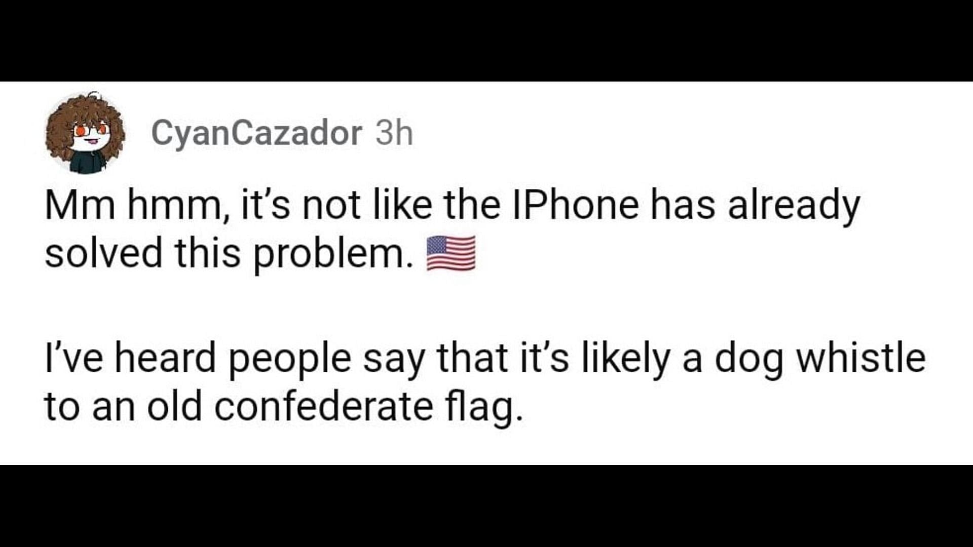 A netizen comments on the American flag drama. (Image via Reddit)