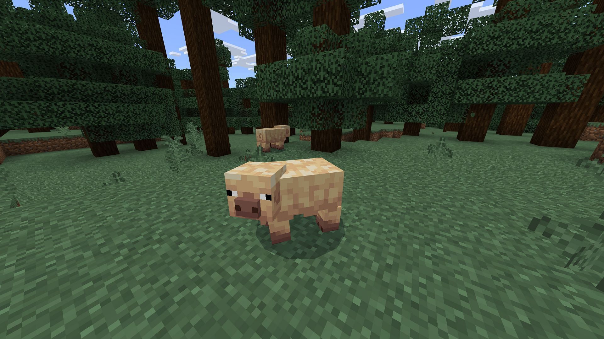 Minecraft Bedrock 1.21.60 update introduces the warm and cold variants of the pig (Image via Sportskeeda Gaming/Mojang Studios)