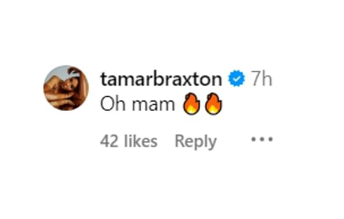 Tamar Braxton comments on La La Anthony's post | via @lala