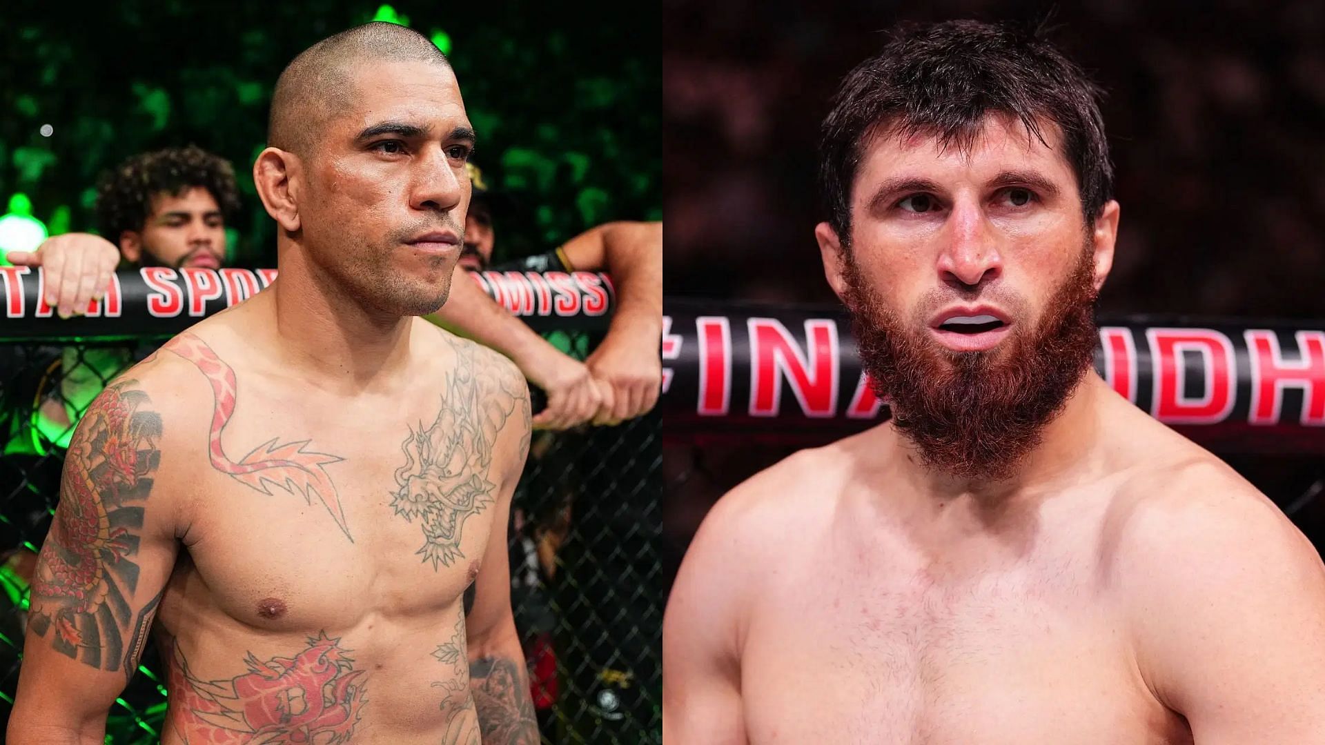 Alex  Pereira (left) has addressed growing concerns ahead of his bout against Magomed Ankalaev (right). [Image courtesy: Getty Images]