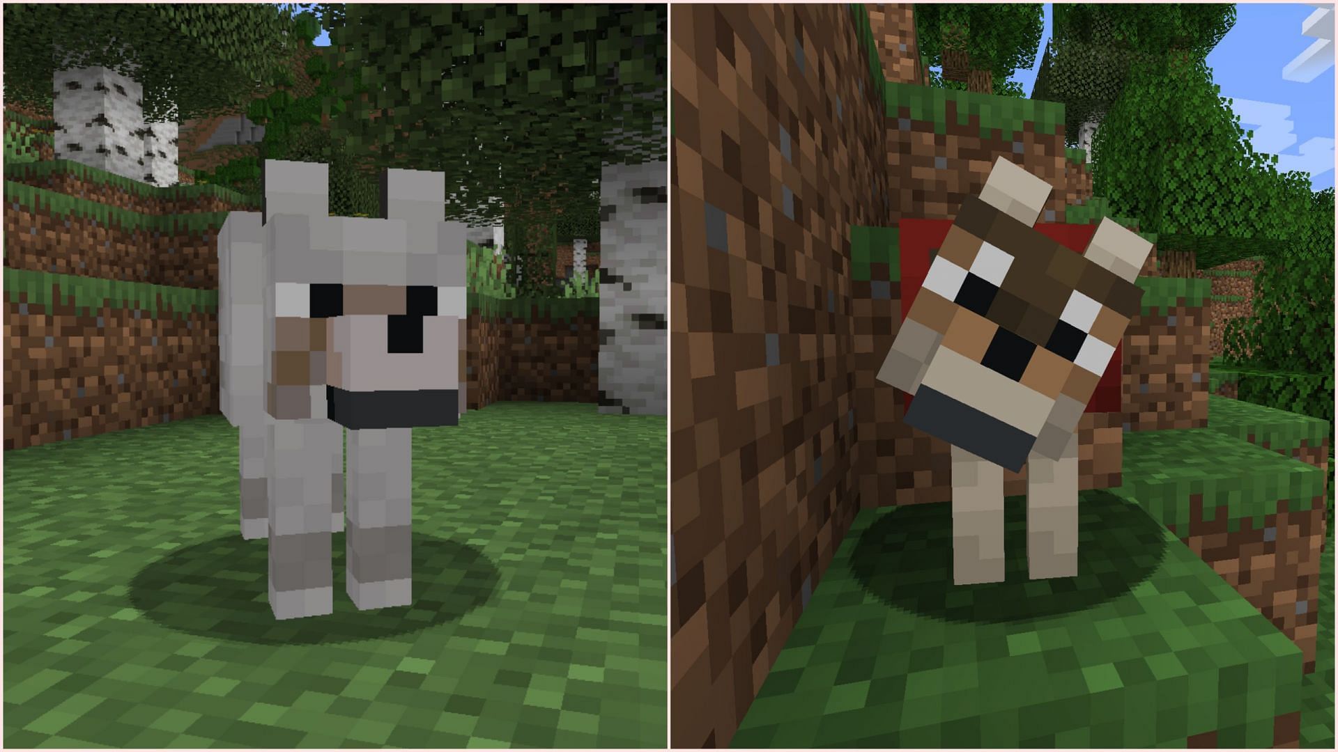 Wolf should receive different facial expressions along with new sound effects (Image via Sportskeeda Gaming/Mojang)