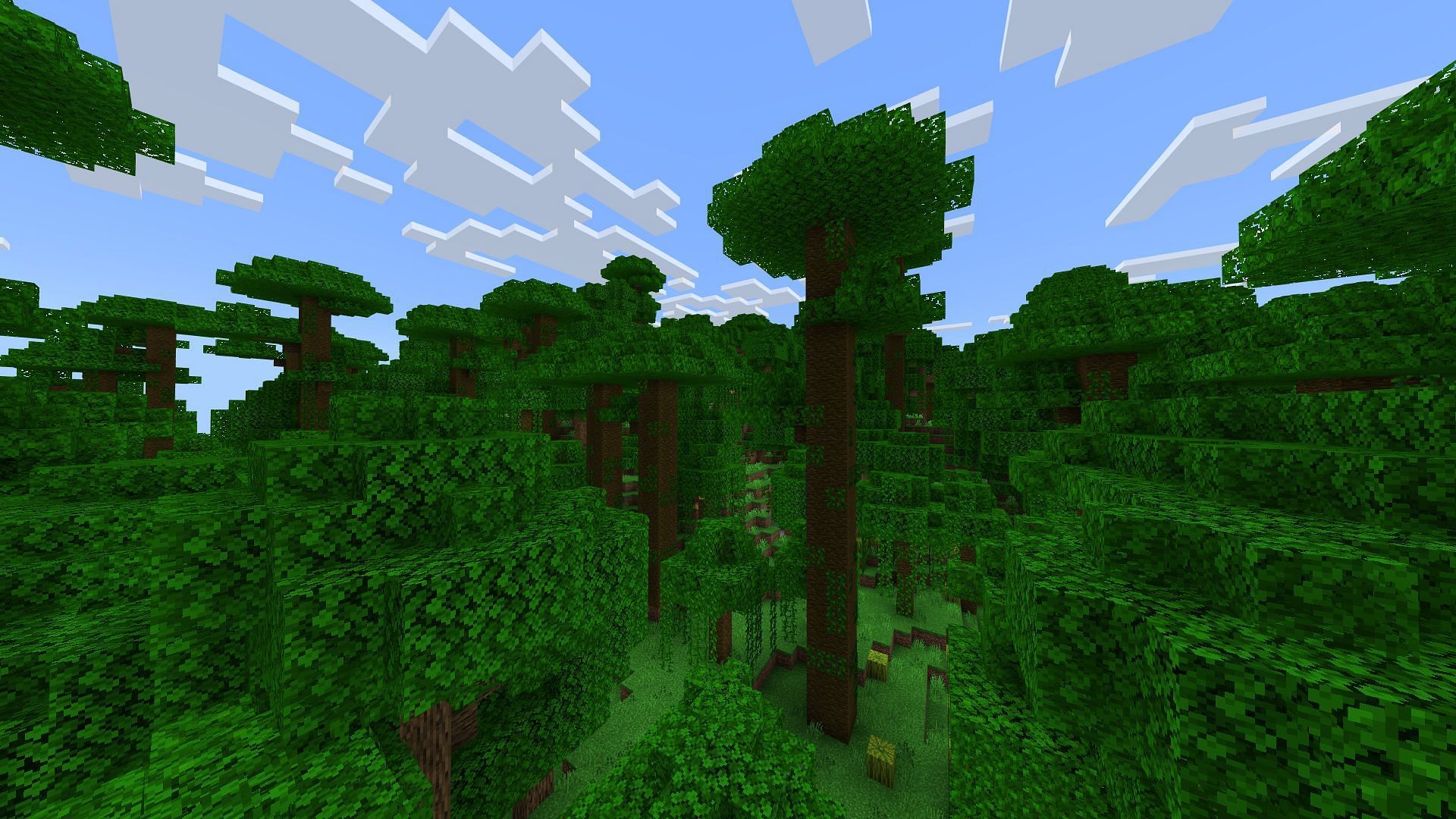 Jungles have received a major overhaul as part of the Minecraft Bedrock 1.21.60 update (Image via Sportskeeda Gaming/Mojang Studios)