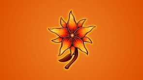 How to get Fire Flowers in Blox Fruits