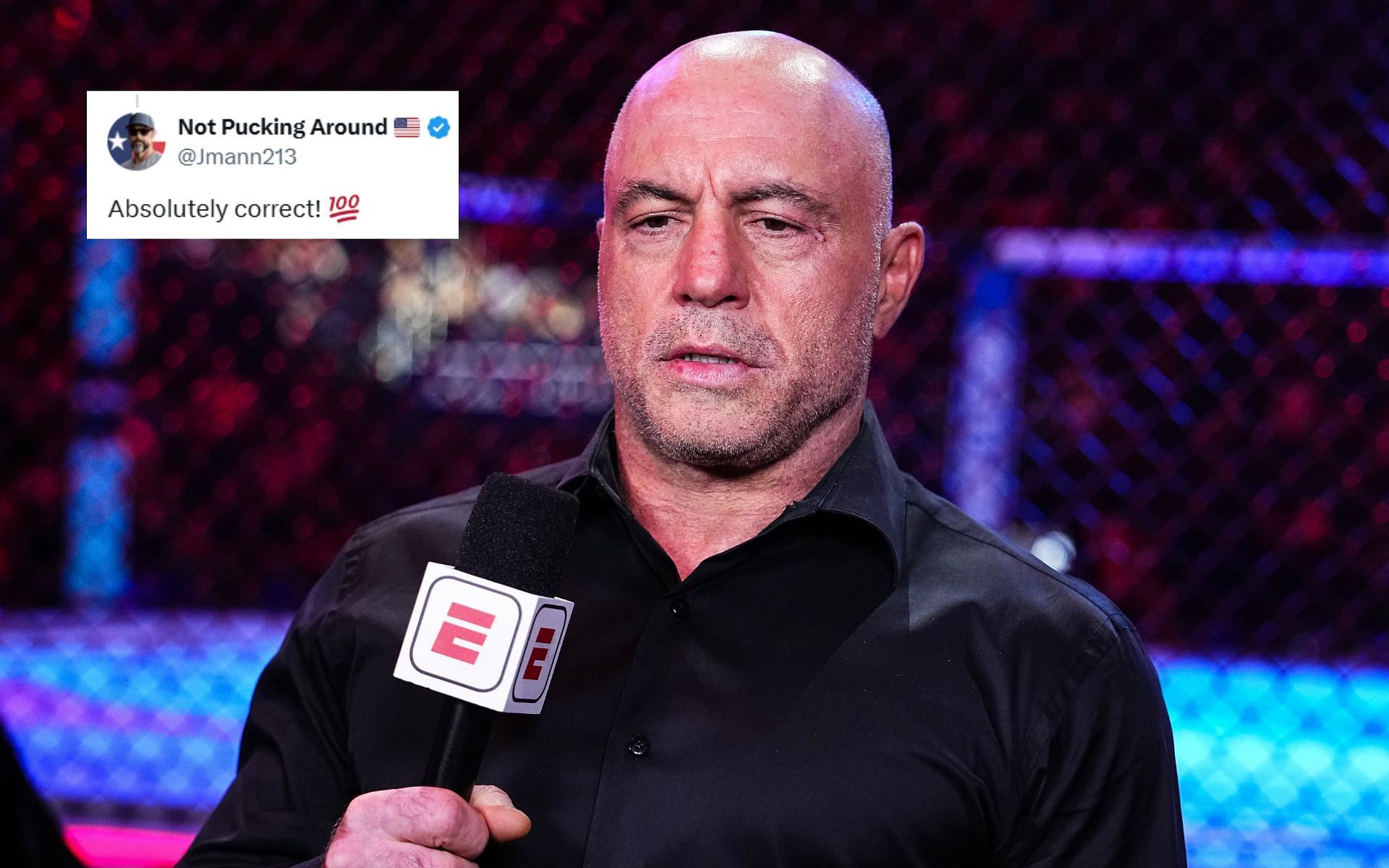 Joe Rogan (pictured) is a veteran UFC color commentator and podcast mogul, who