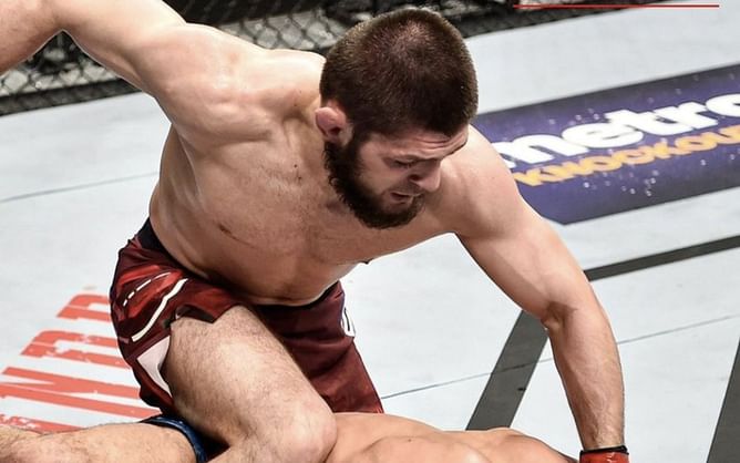 Top 5 UFC champions who won their titles while undefeated feat. Khabib Nurmagomedov and Israel Adesanya