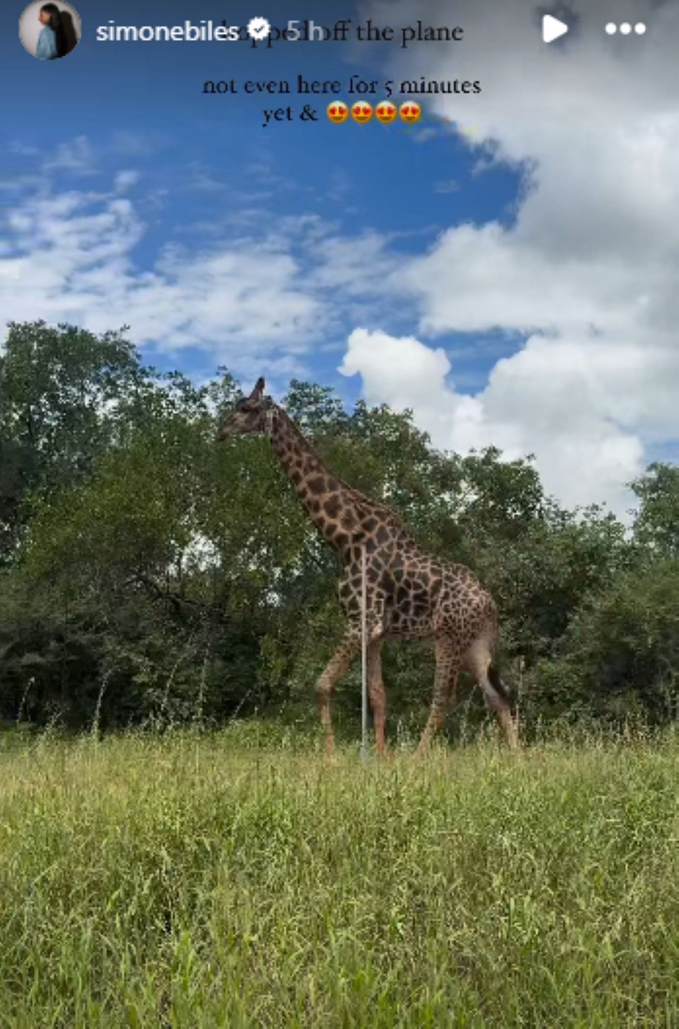 Screengrab of Simone Biles&#039; Instagram story from Africa [Image Source: Simone Biles&#039; Instagram]