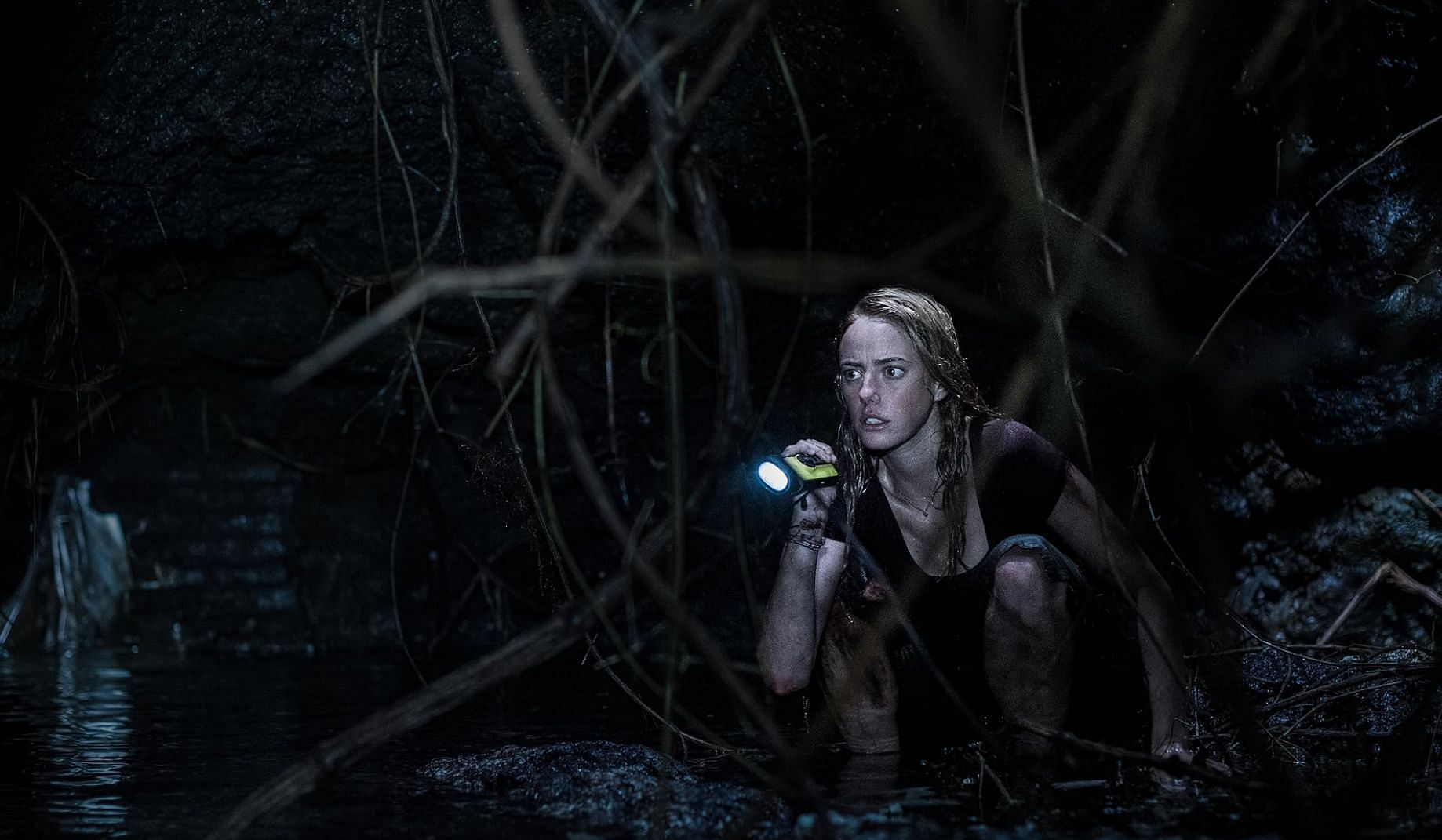 Still from the movie Crawl (Image via Raimi Productions)