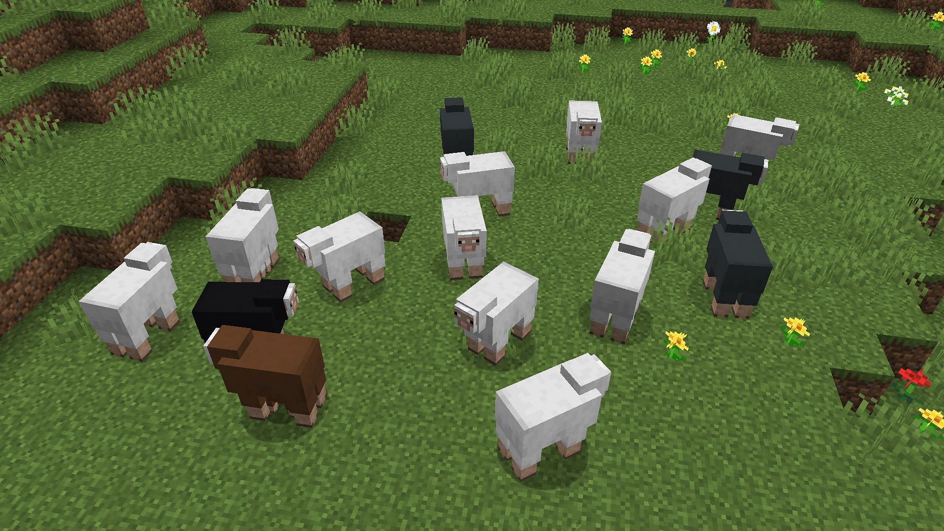 Sheep already have different variants based on color (Image via Sportskeeda Gaming || Mojang Studios)