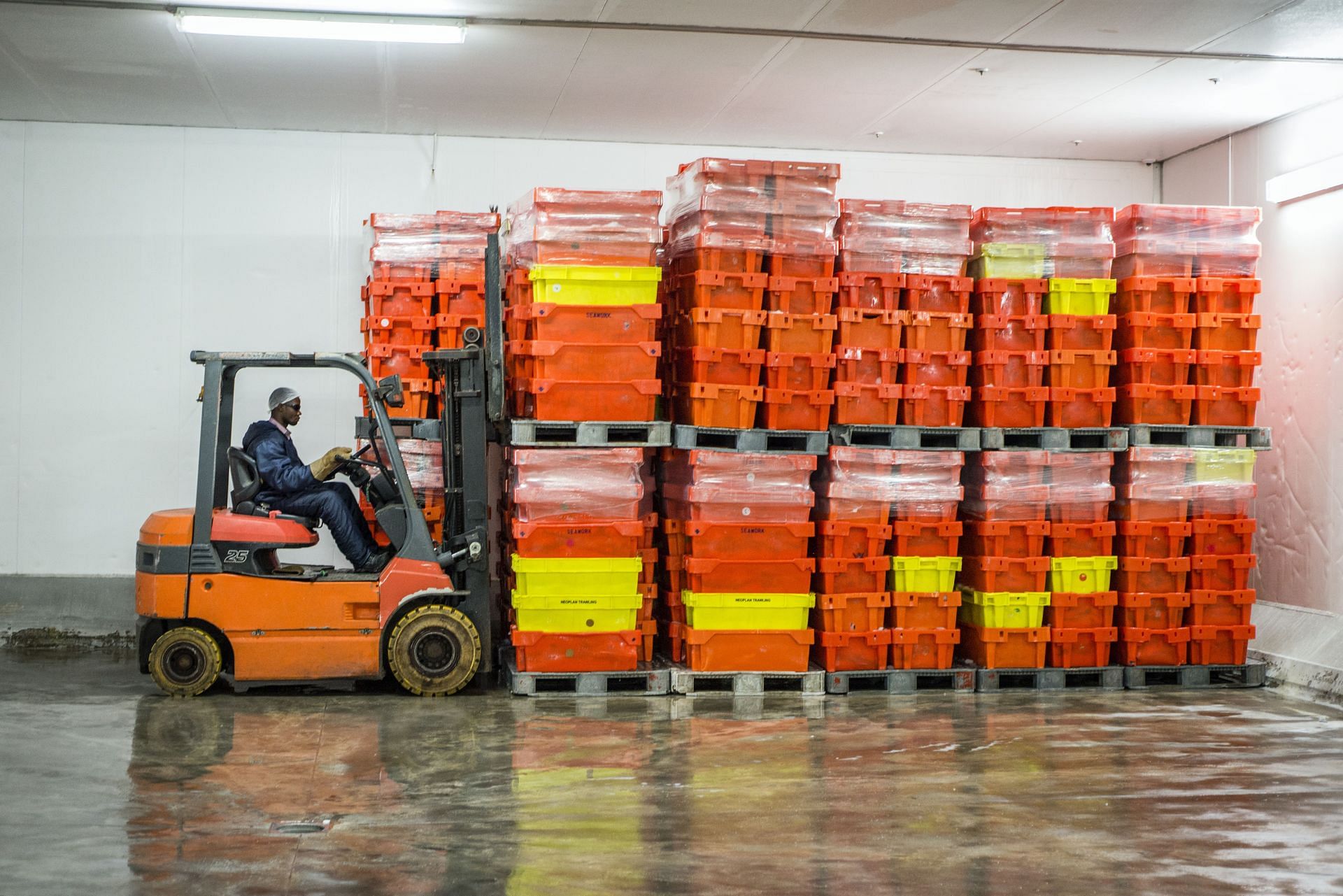 Nick Gibson, a 36-year-old forklift operator, last lived in Brisbane, Australia, as a single father. (Imae via Getty)