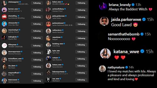 Screenshots of stars' likes and comments [Lyra Valkyria's Instagram post]