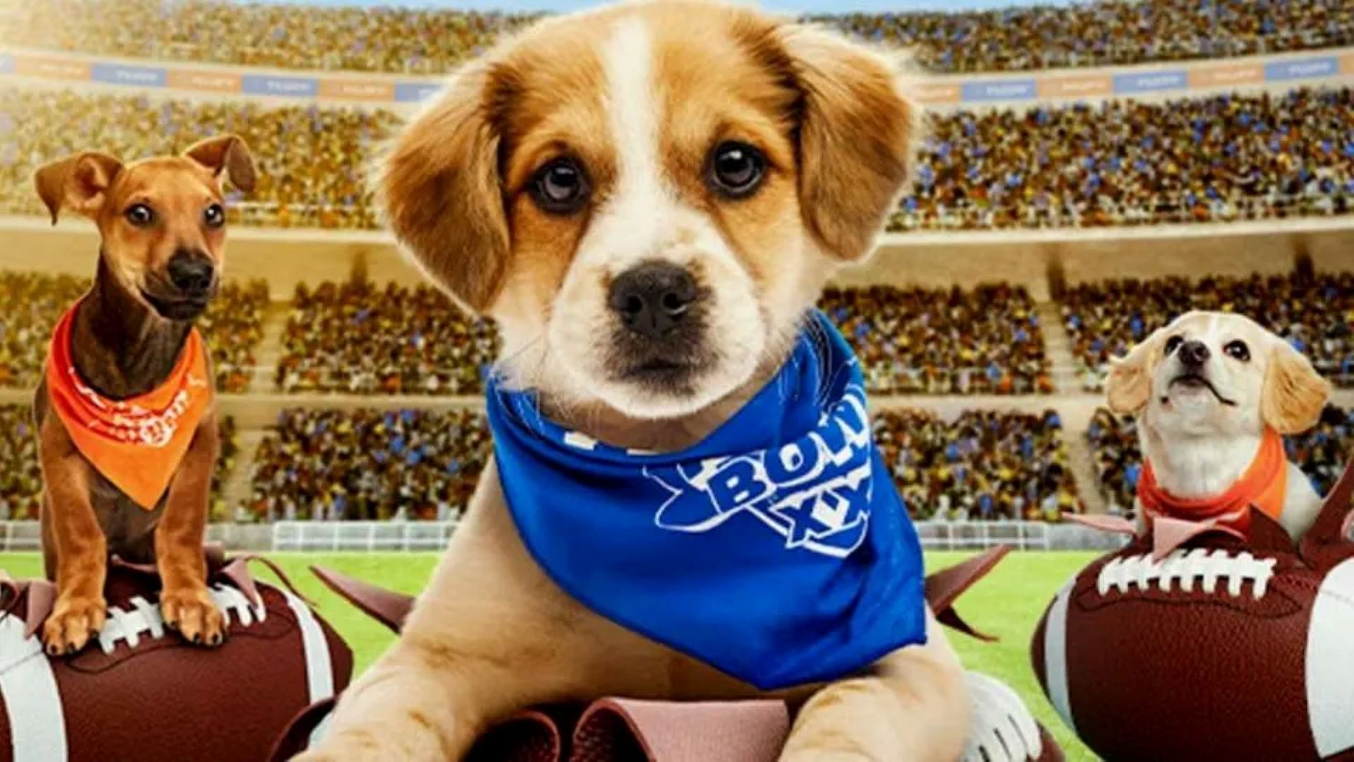 Puppy Bowl XXI partial poster 