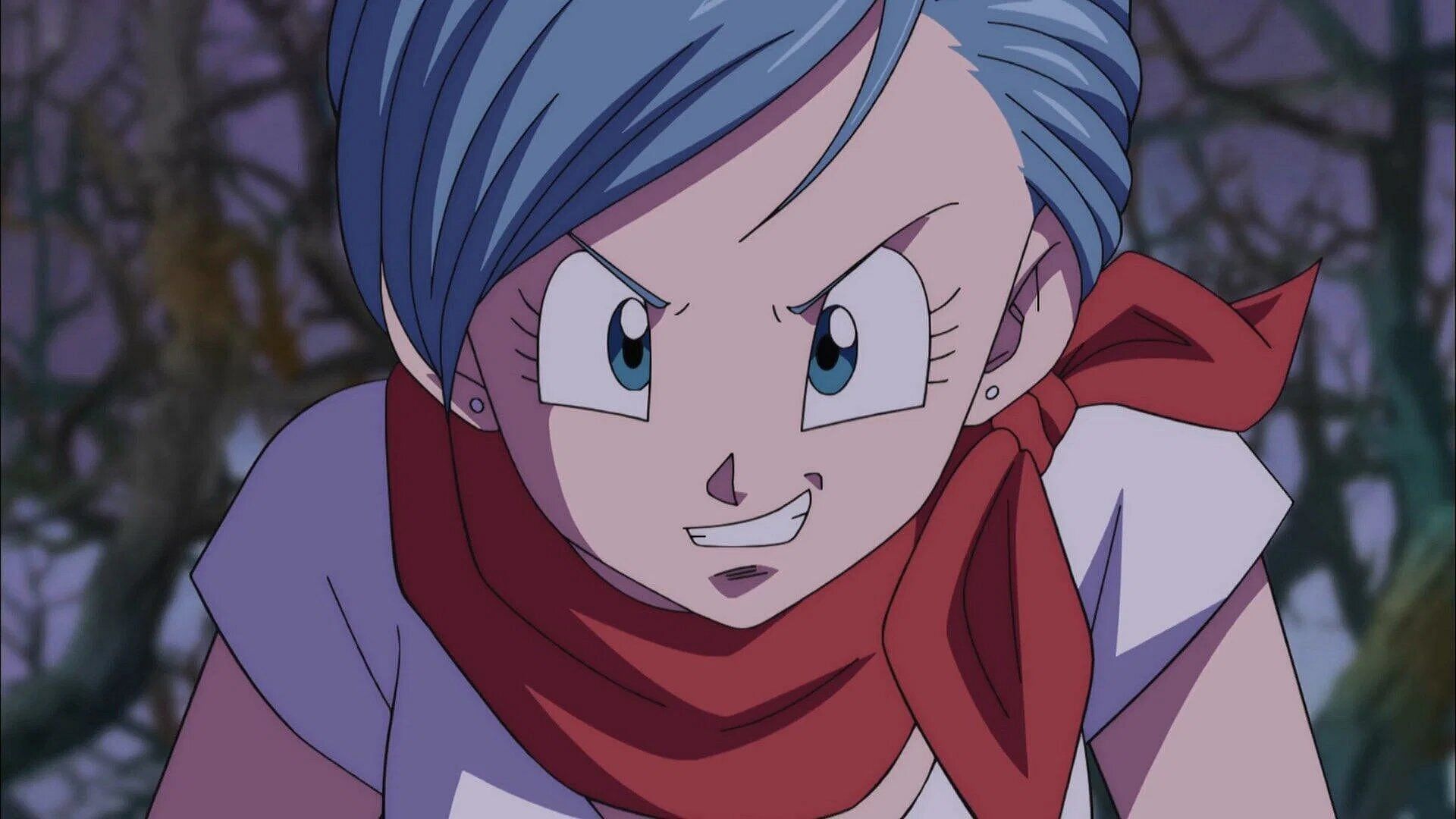 Anime characters like Bulma and why they are similar (Image via Toei Animation).