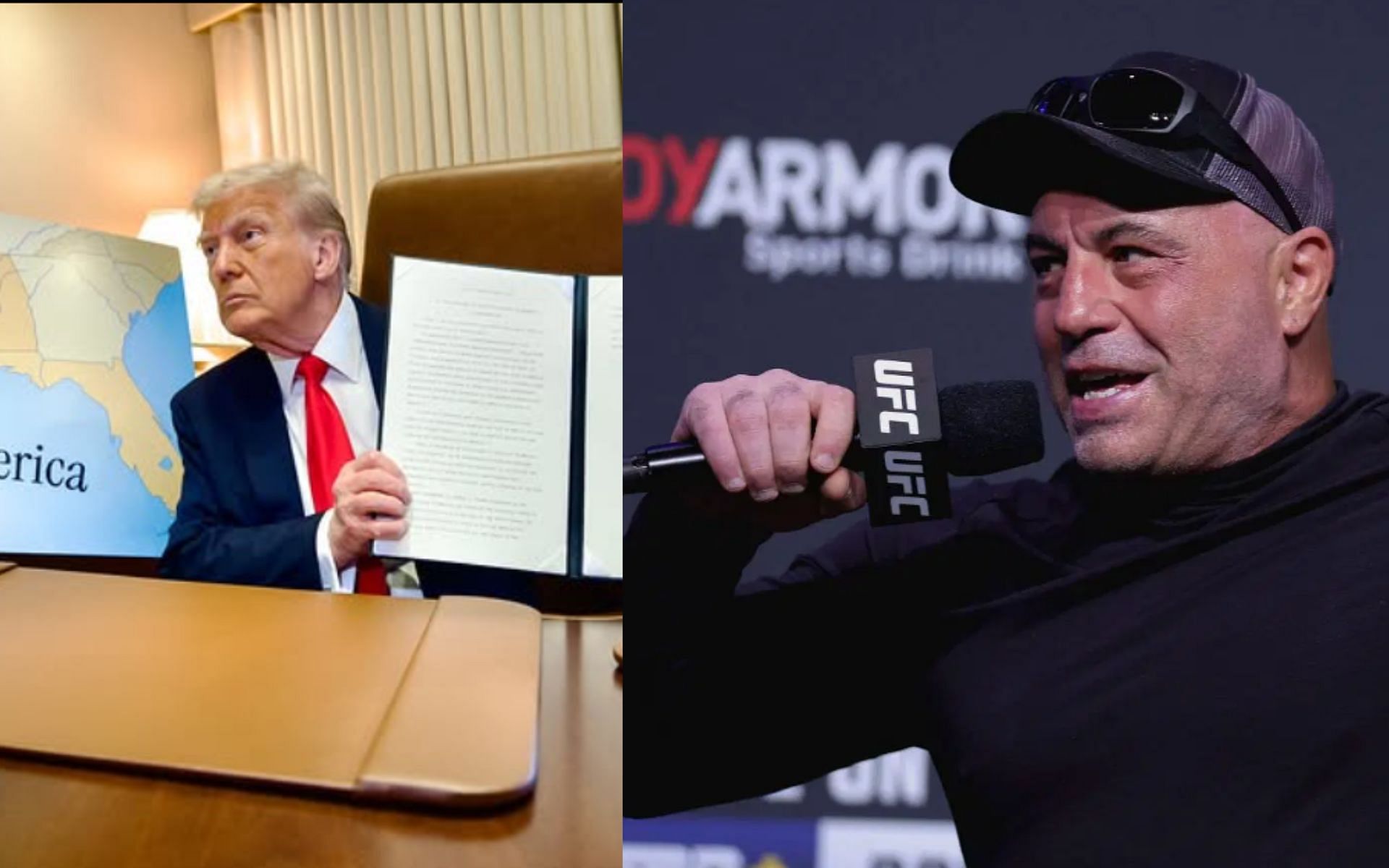 Joe Rogan(right)  shares insightful thoughts on Donald Trump