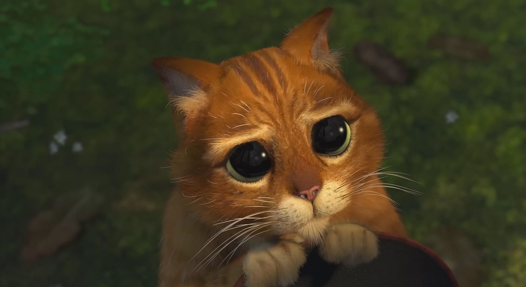 Puss with his sad eyes, an iconic scene from the Shrek franchise. (Image via Apple TV)