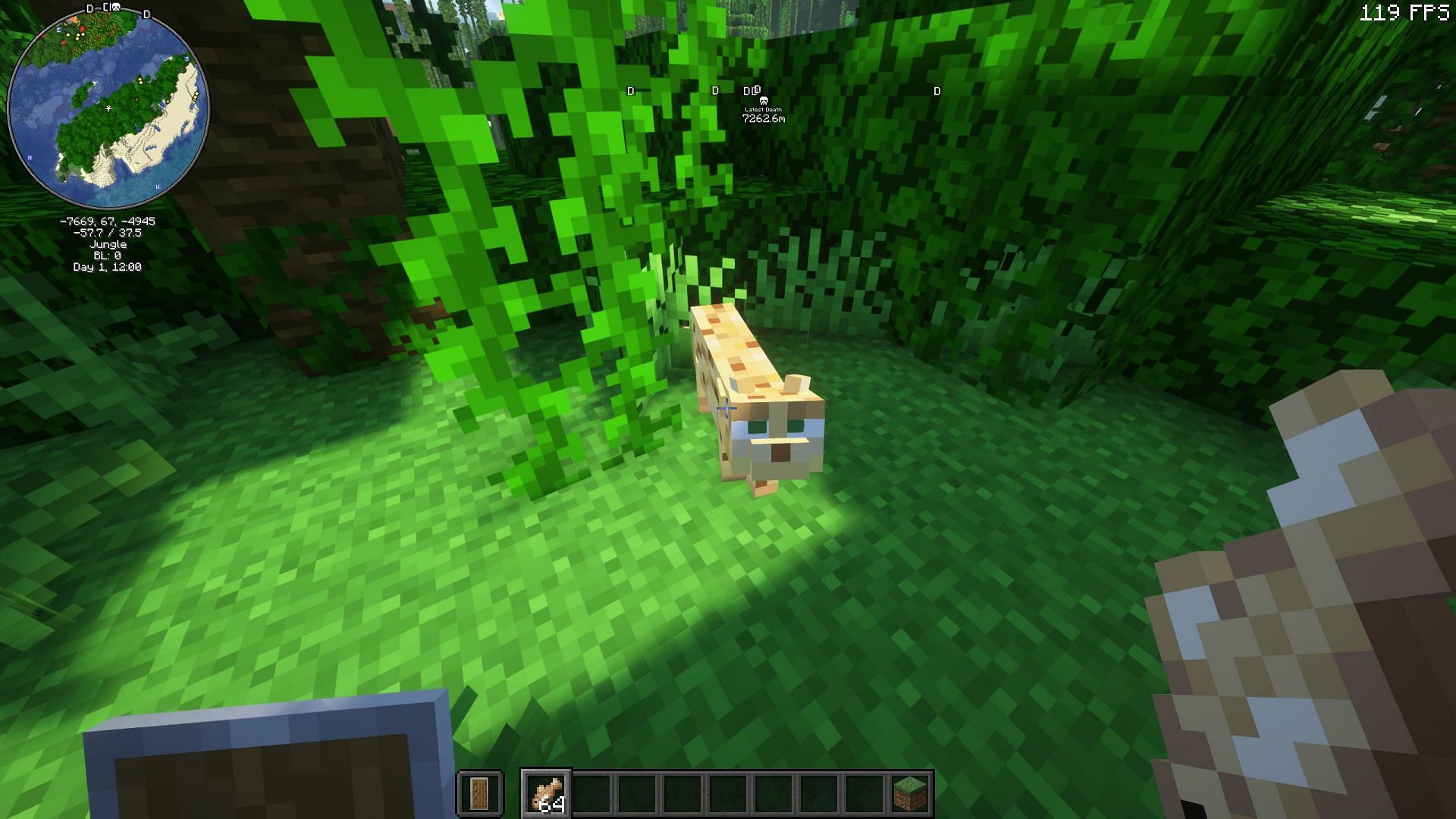 Ocelots cannot be tamed but players can gain their trust (Image via Sportskeeda Gaming/Mojang Studios)