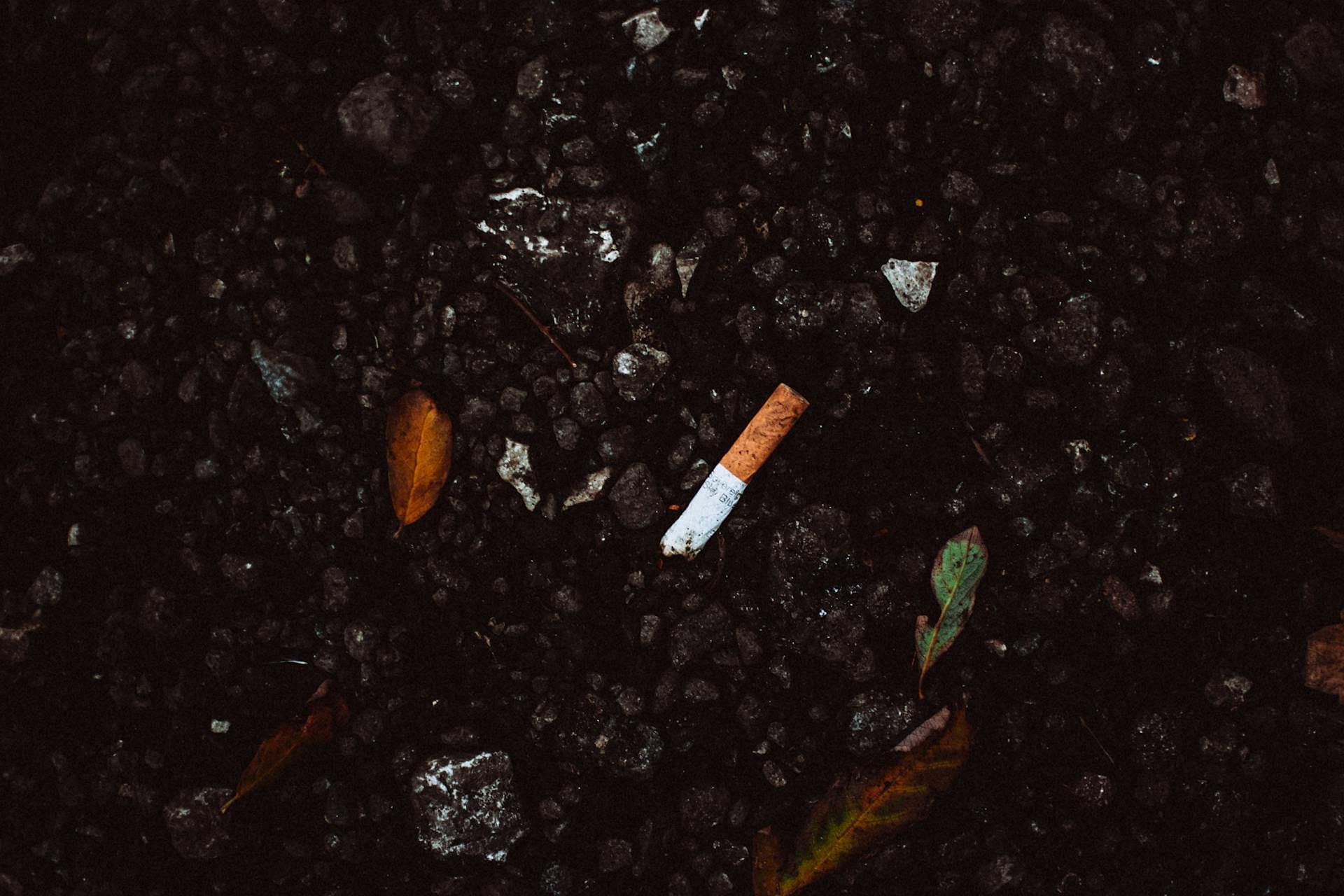 Dateline: Unforgettable season 5 episode 7 culprit Brian Dripps was proven guilty with DNA retrieved from cigarette butts (Image via Pexels)