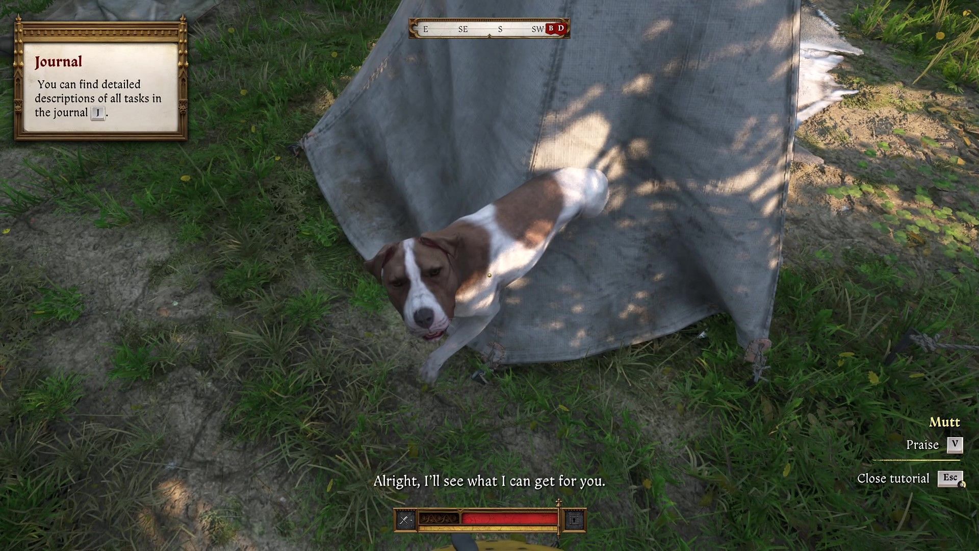 Mutt in Kingdom Come Deliverance 2 (Image via Deep Silver)