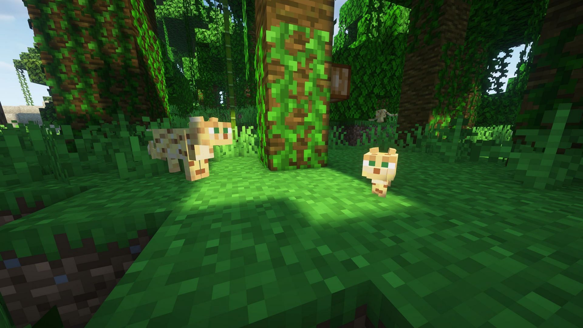 Ocelots can breed and spawn baby ocelots (Image via Sportskeeda Gaming/Mojang Studios)