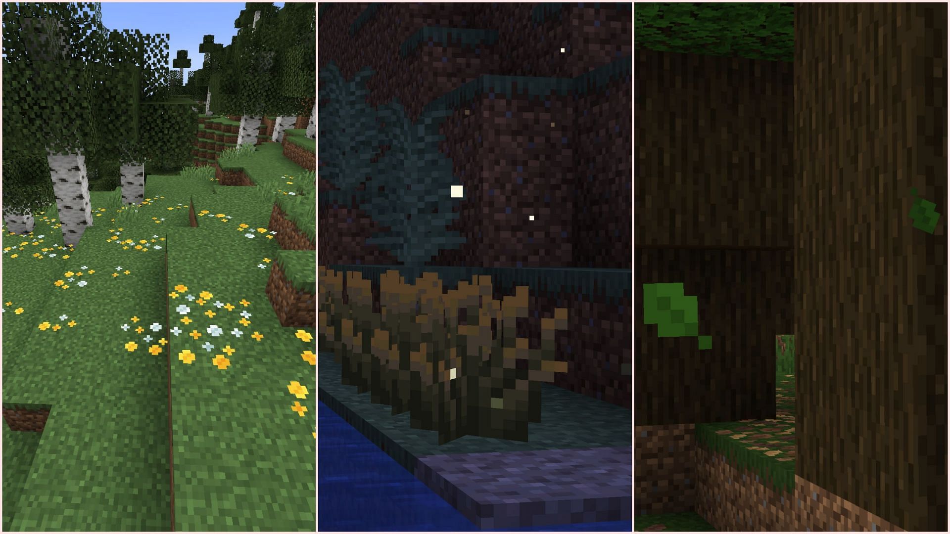 Existing Overworld biomes will now be a lot more immersive (Image via Sportskeeda Gaming/Mojang)