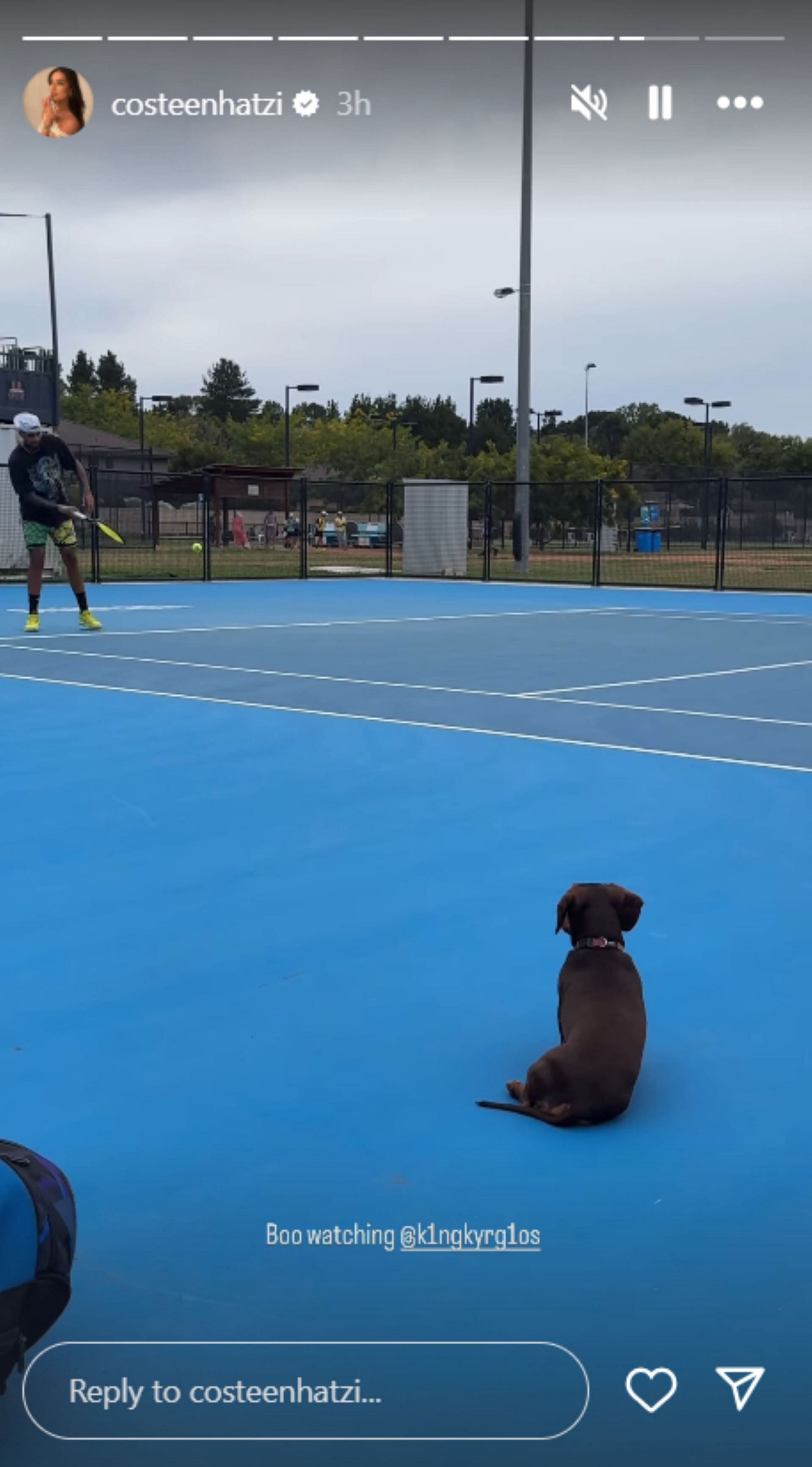 Nick Kyrgios&#039; girlfriend Costeen Hatzi shared a video of Boo watching the Aussie play; Instagram - @costeenhatzi