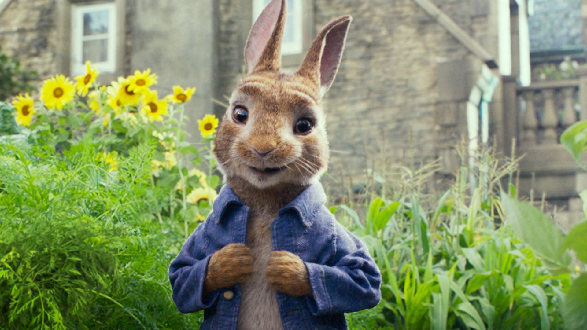 Fans of Beatrix Potter&#039;s books shouldn&#039;t miss out on this funny animated movie (Image via Sony Pictures)