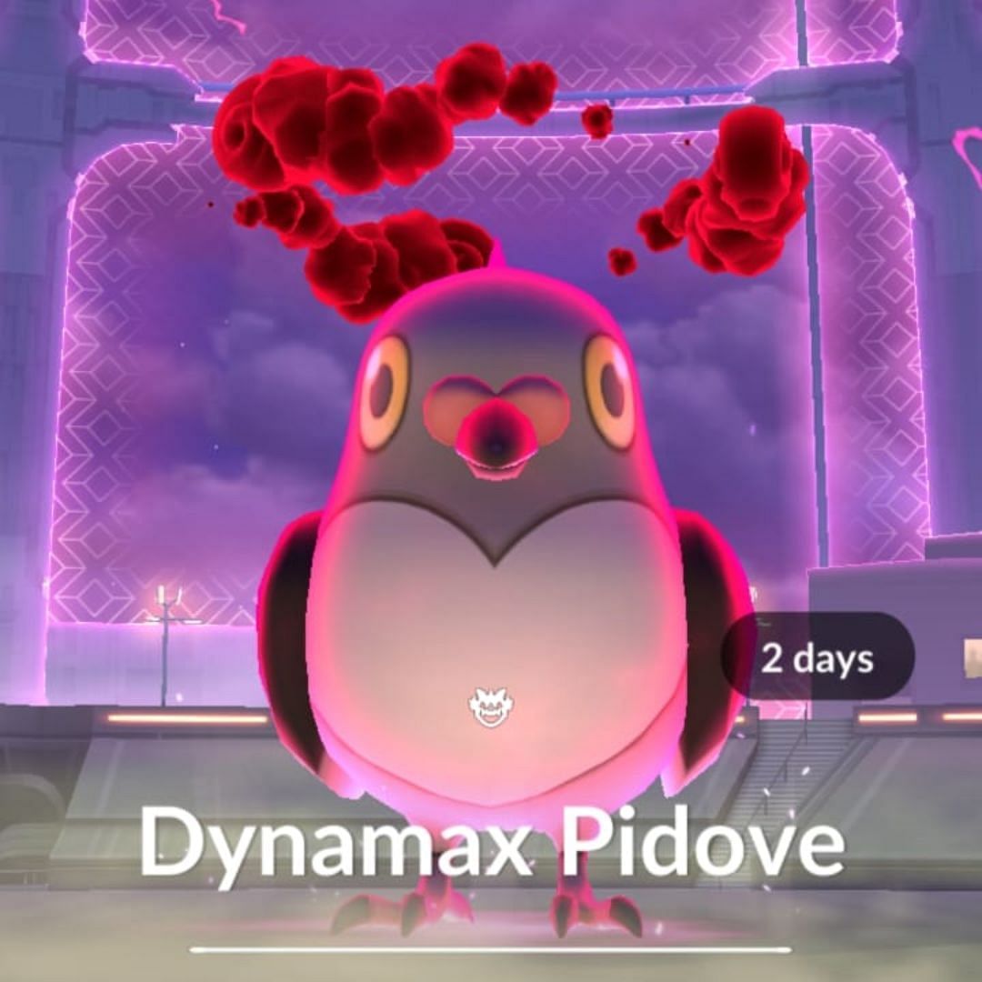 Dynamax Pidove (Image via Sportskeeda Gaming/TPC)