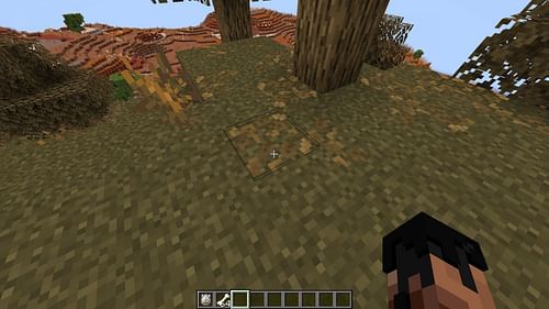 Leaf litter will be more tinted than before in Minecraft's next game drop (Image via Sportskeeda Gaming || Mojang Studios)