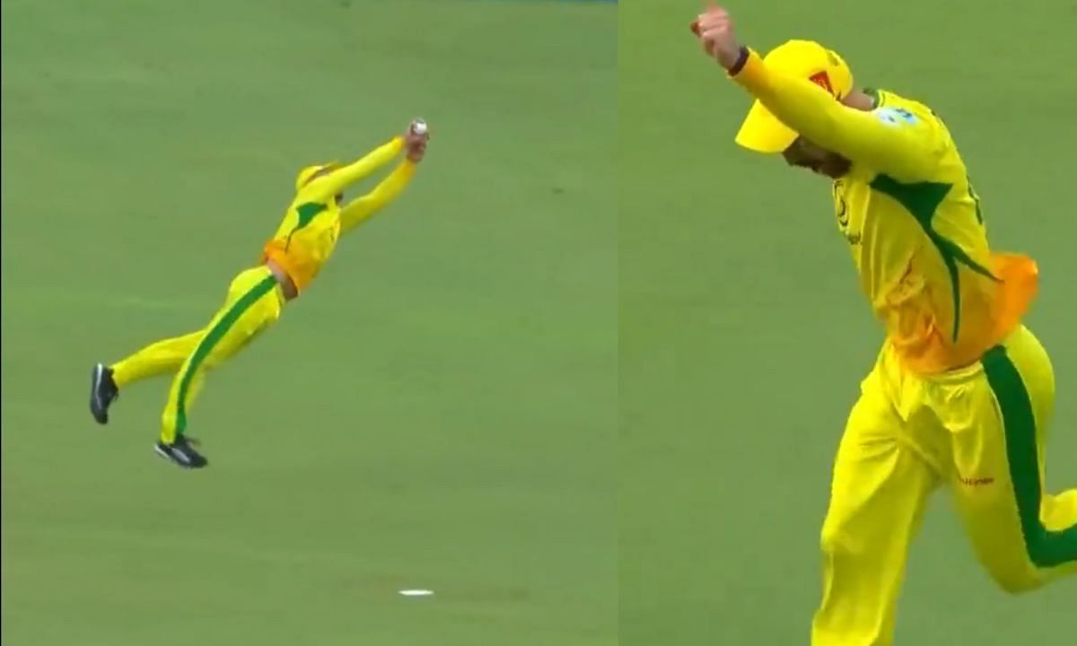 फाफ डू प्लेसी ने पकड़ा जबरदस्त कैच (Photo Credit - Screenshot/@JSKSA20)