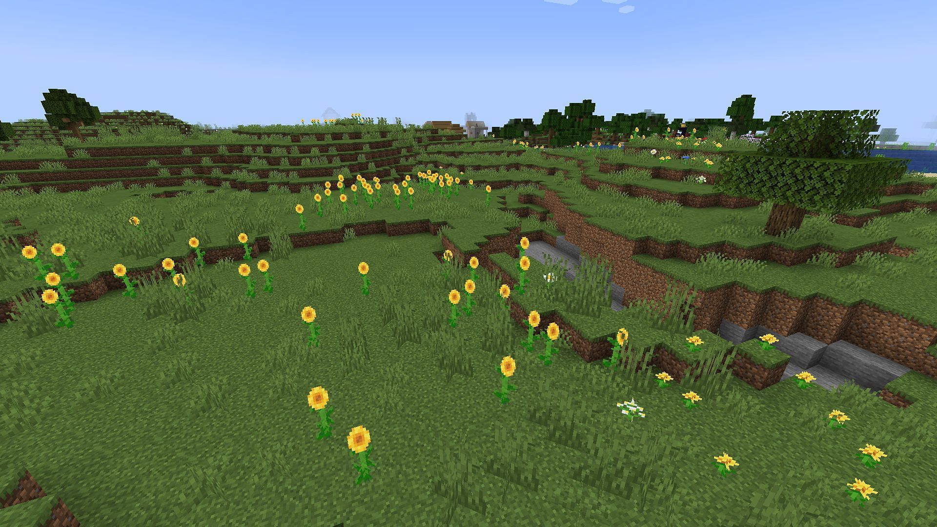 It is a beautiful variant of the plains biome (Image via Mojang Studios)