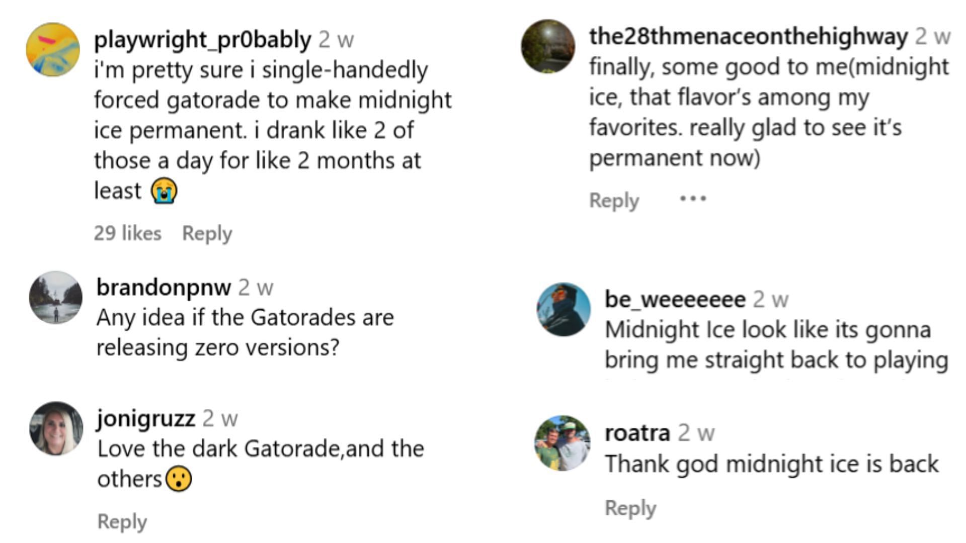 Comments expressing their excitement over the permanency (Image via Instagram/@snachwithzach)