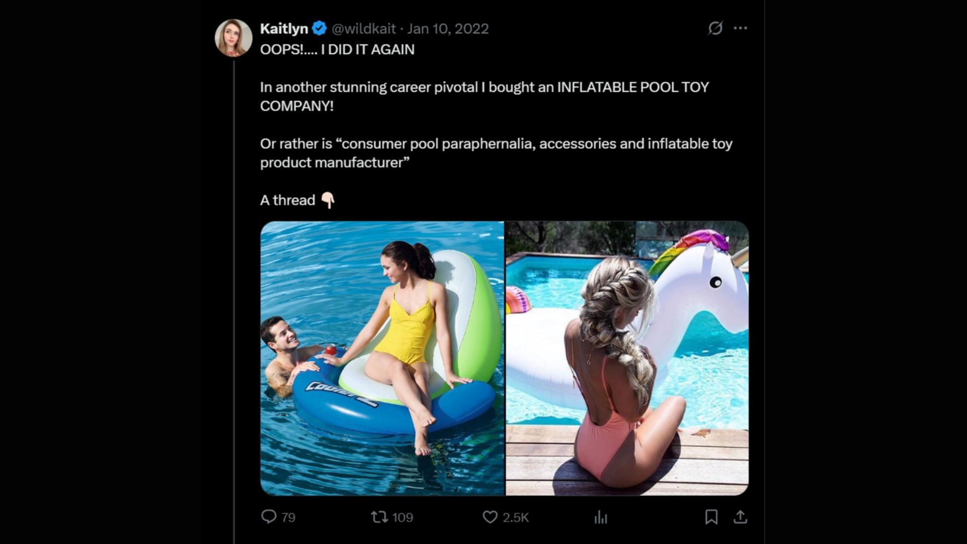 The tweet announcing she bought an inflatable pool toy company (Image via X/@wildkait)