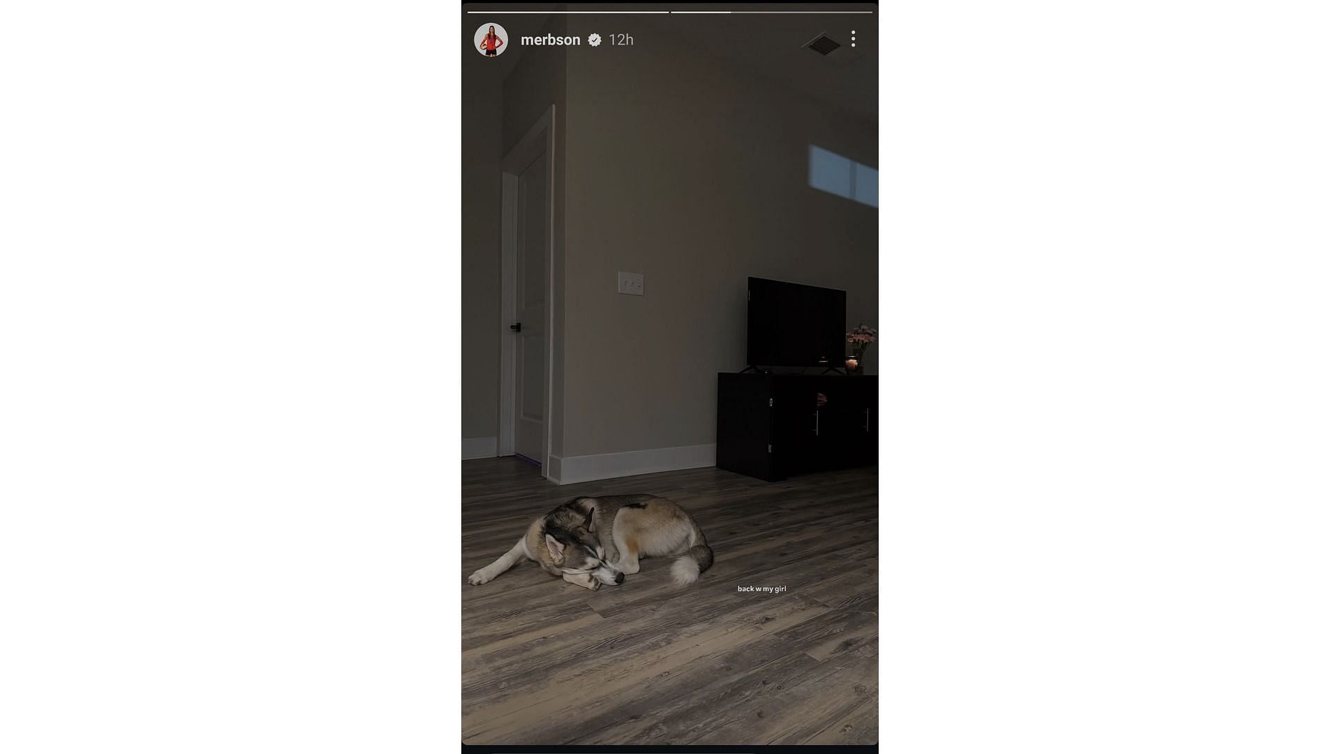 Screenshot of Beason&#039;s Instagram story feat her pet dog (Image via: Beason&#039;s Instagram)