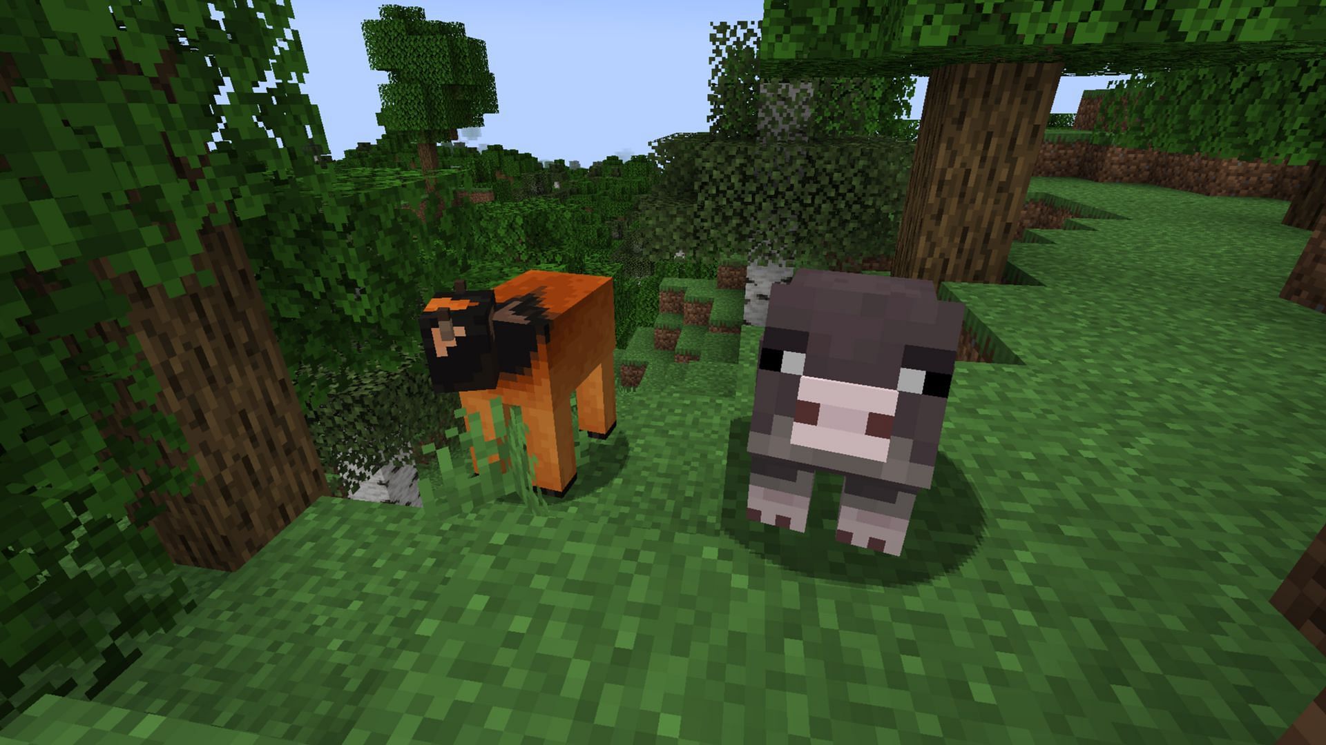 The customizations and variants easily rank More Mob Variants as one of the best Minecraft 1.21 animal mods (Image via Mojang Studios || Curseforge/@Henkelmax)