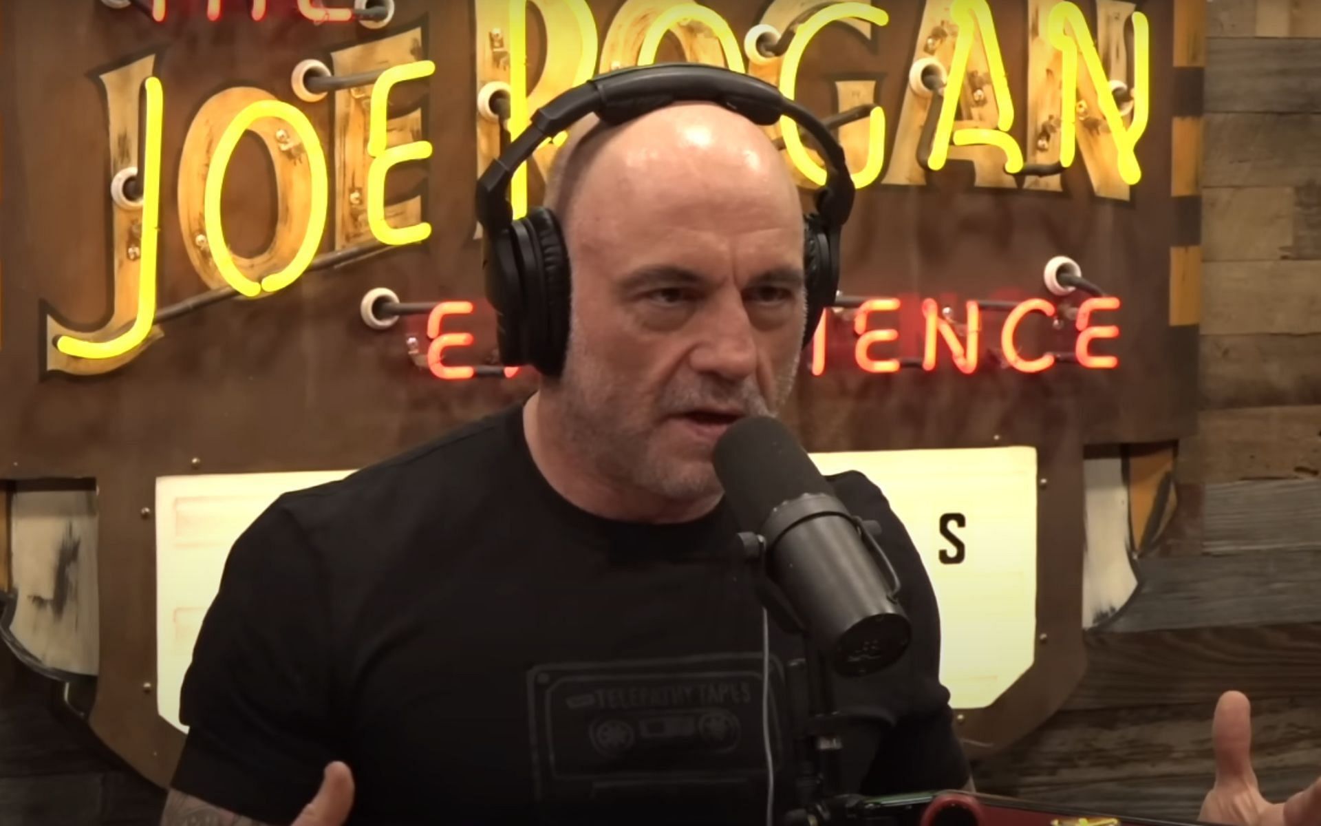 Joe Rogan talks about the hardest specie of deer to hunt. [Image credit: JRE on YouTube]