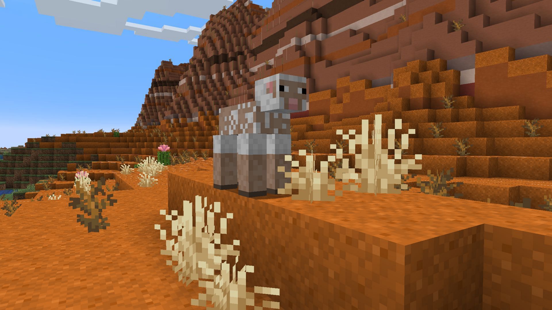 Sheep can eat the dry grass to regrow their wool (Image via Mojang Studios)