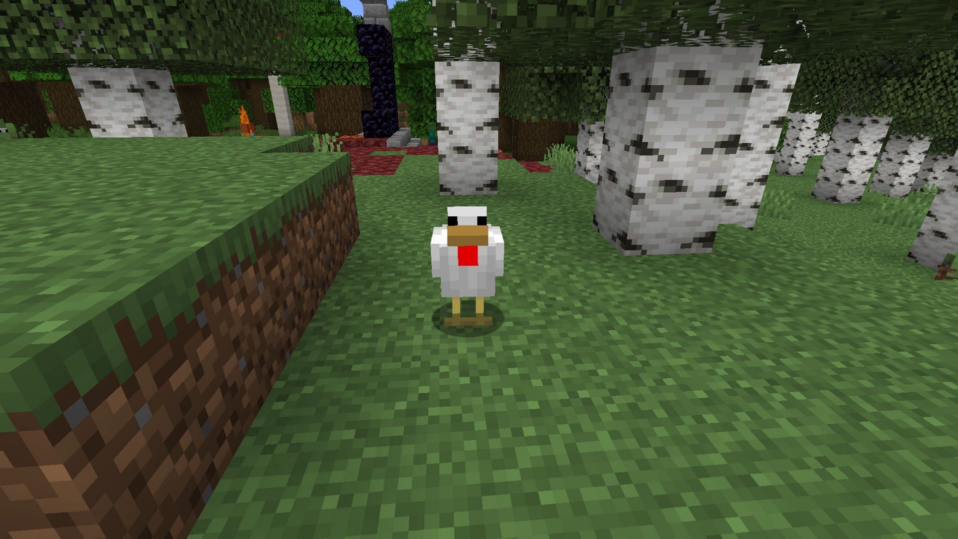 Minecraft chicken variants