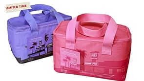 Trader Joe's releases mini insulated tote bags in 2 new colors: All you need to know