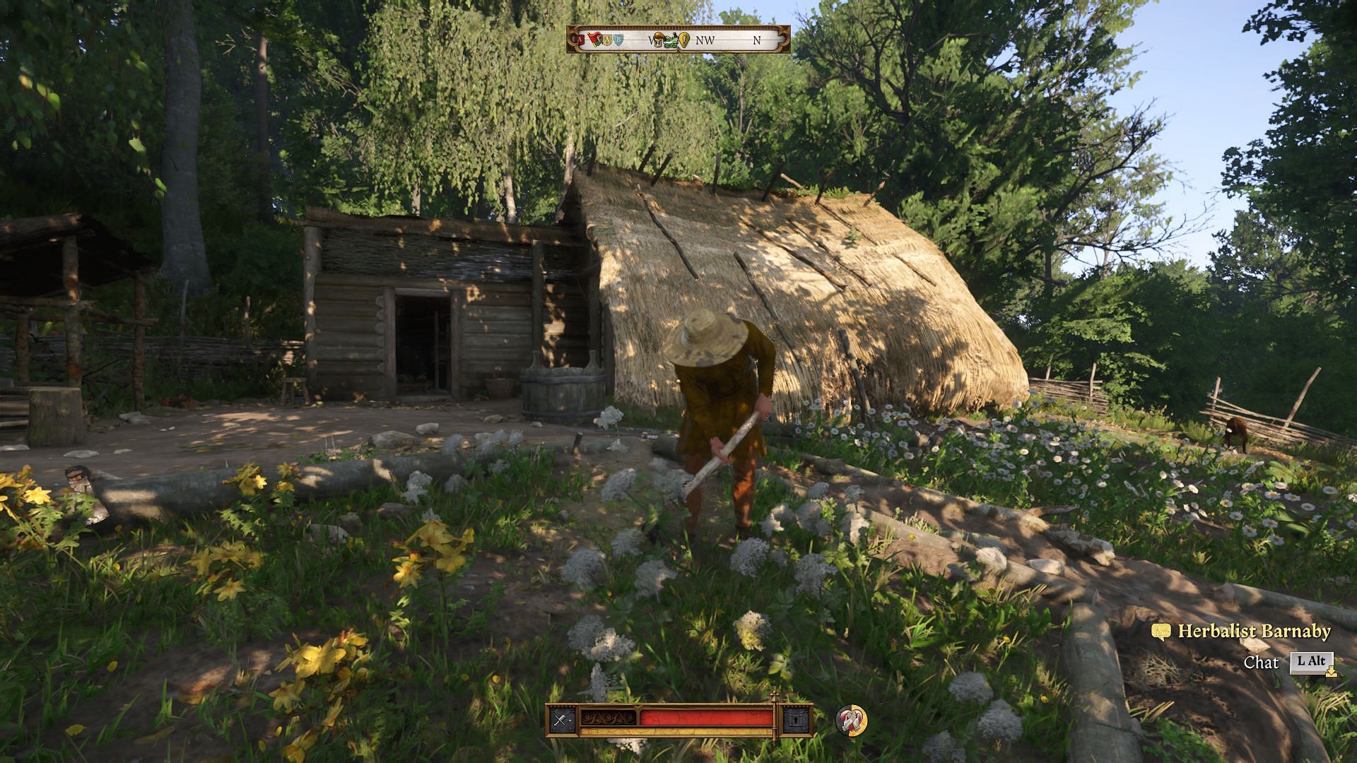 This kind of herbalist has all your alchemy needs, and you can even get them for free (Image via Deep Silver)