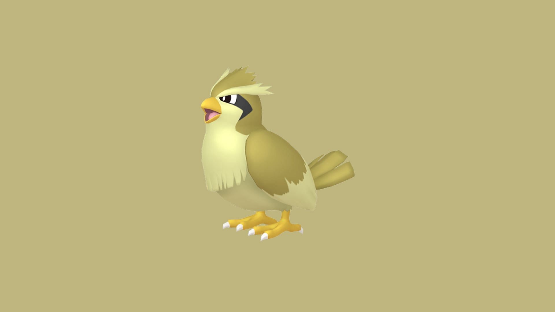 Shiny Pidgey (Image via The Pokemon Company)