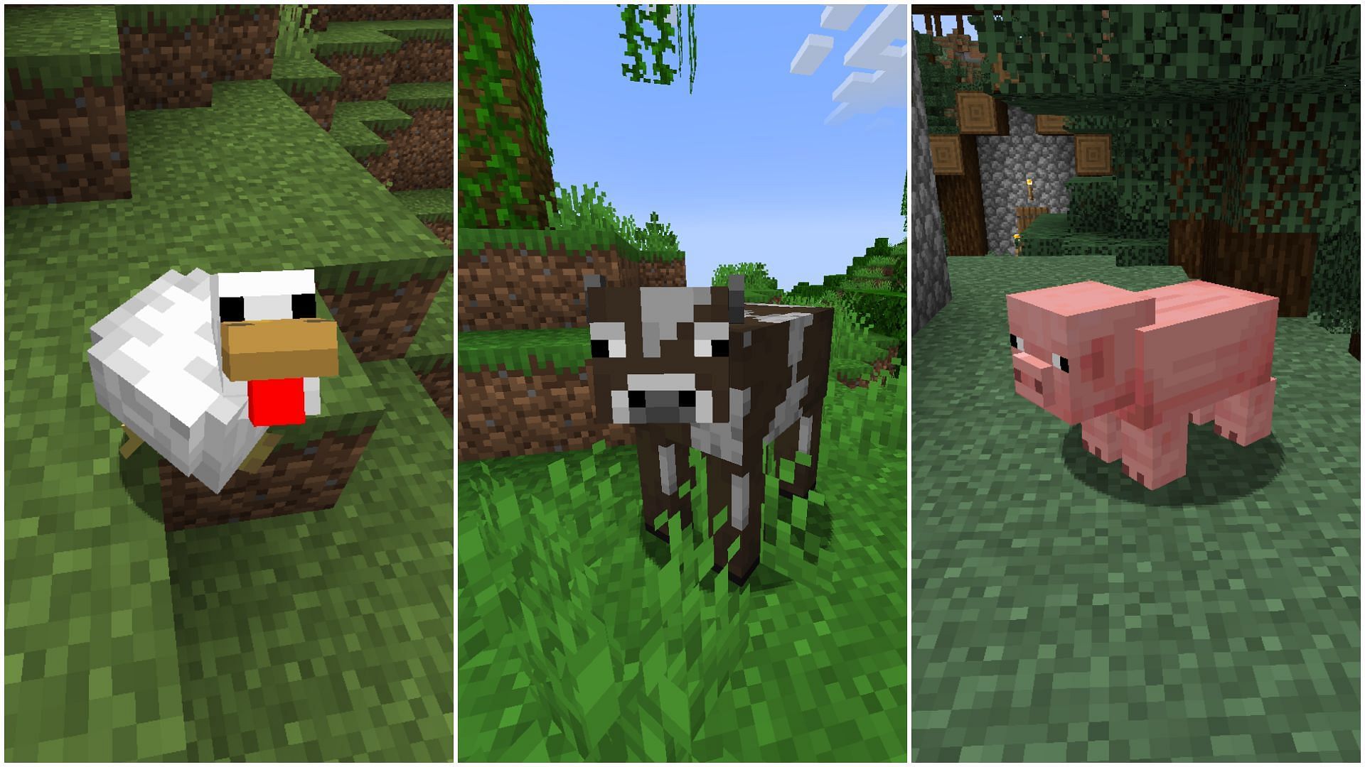 Cows, chickens, and pigs have had identical textures for several years now (Image via Mojang Studios)