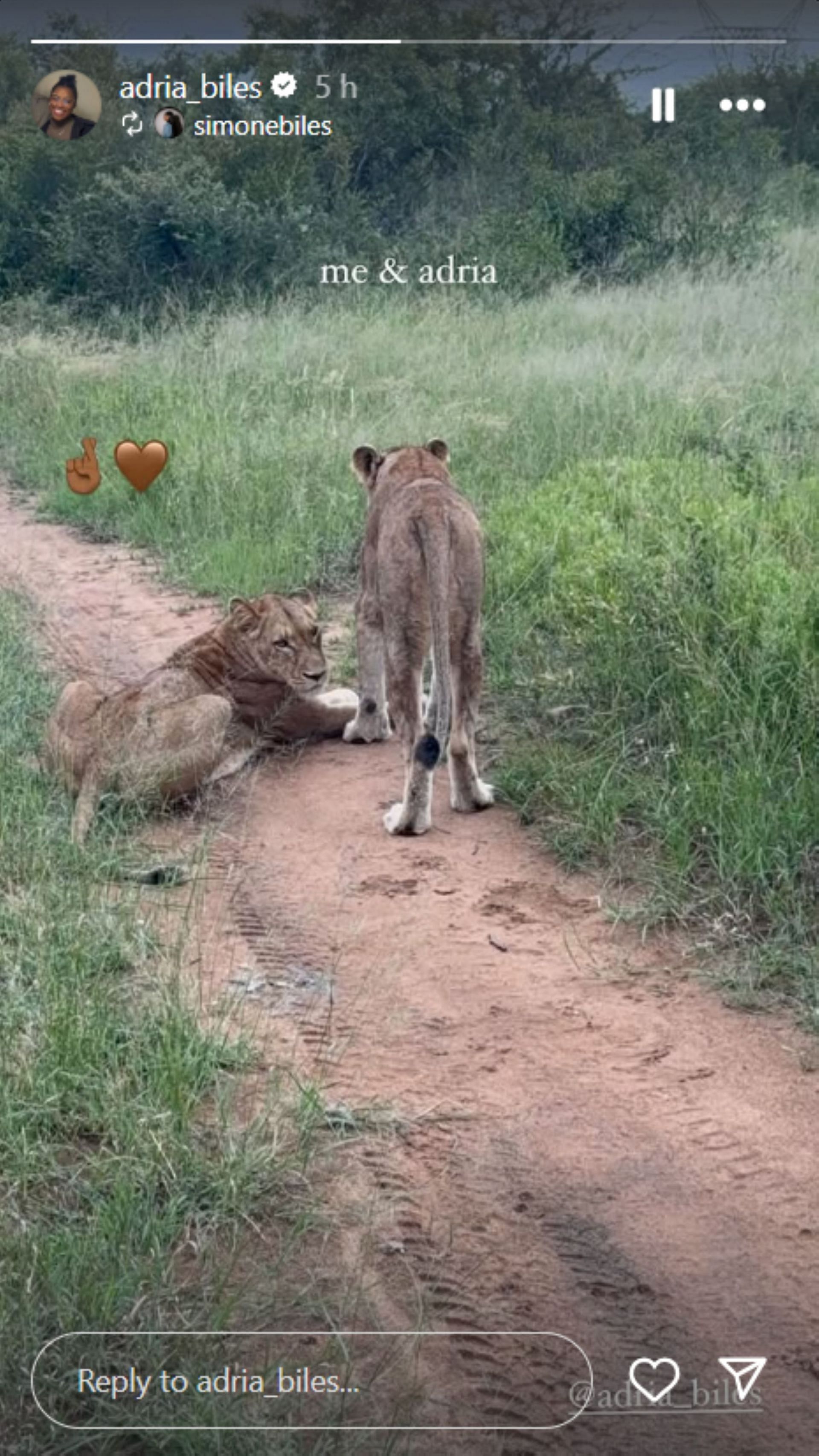 Simone Biles connects her and her sister Adria with lions; Instagram - @adria_biles