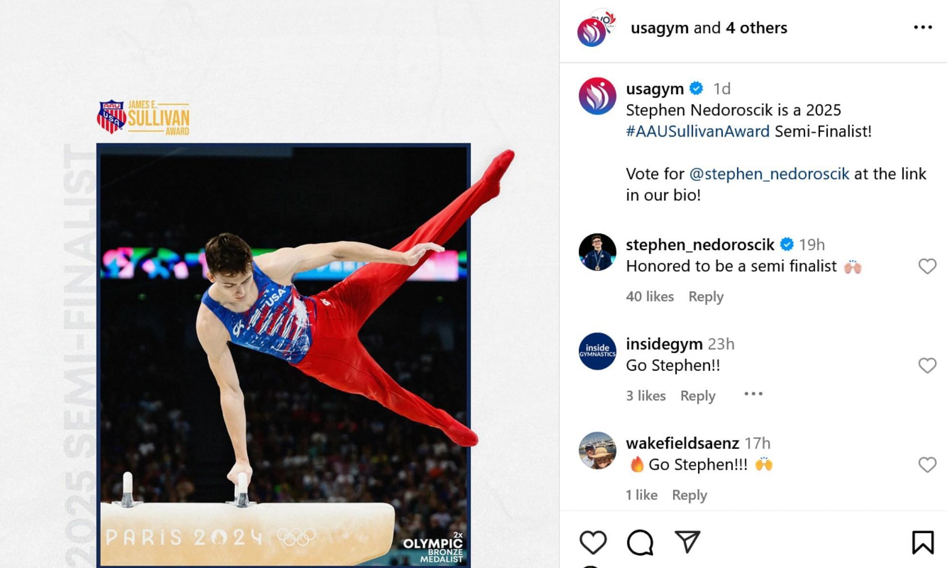 Screenshot of Nedoroscik&rsquo;s comment on USA Gymnastics post. Credits - IG/ usagym