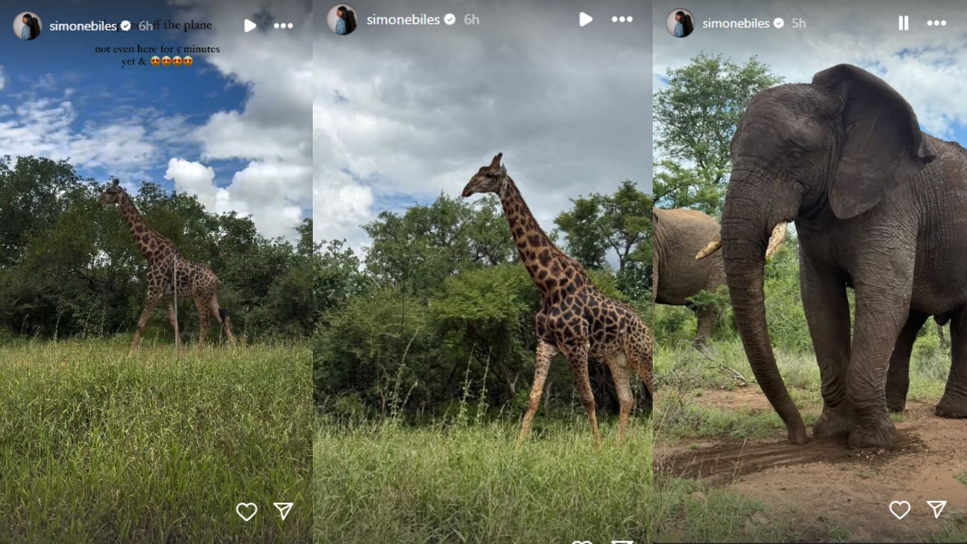 Biles and Owens then went on a Safari adventure. (Photos via Instagram Story)