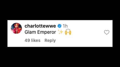 Flair gave her makeup artist a new nickname. [Image credit: Screenshot of Charlotte Flair's comment on Instagram]