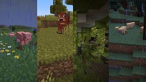 5 scariest biomes to avoid in Minecraft