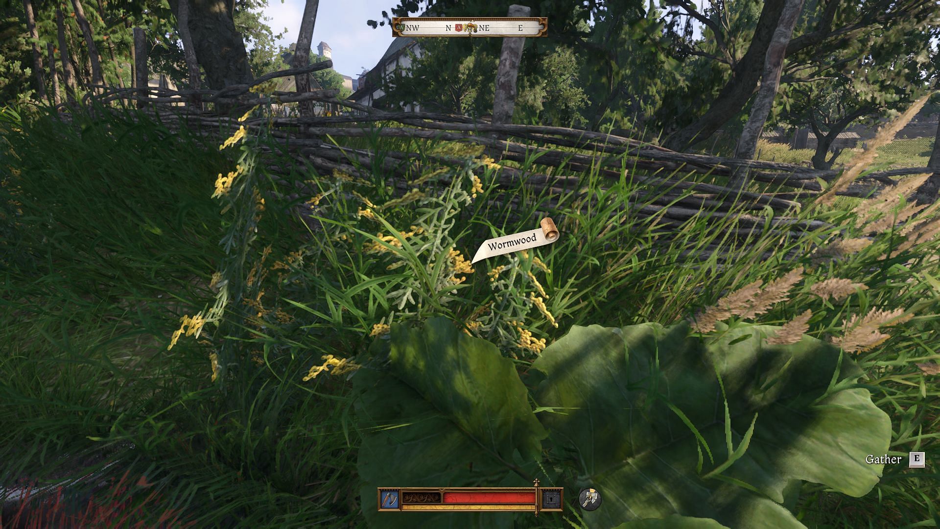 This herb is not that challenging to find (Image via Deep Silver)